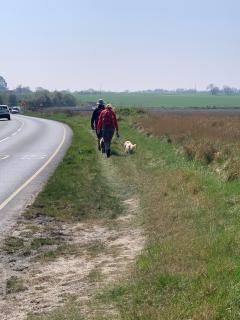 Along the busy road near The Strood - hopefully when it is finished the coast path will have a better route here.